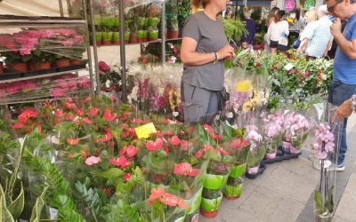 El primer domingo de mayo regálale flores a mamá